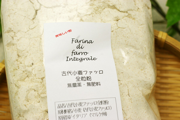 ̵�������������ݸ��微���ե��å���γʴ