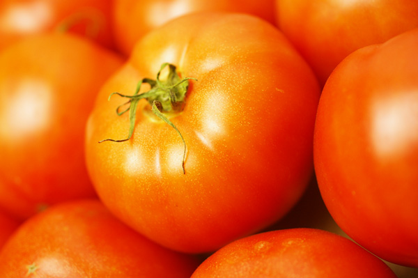 無肥料・自然栽培トマト