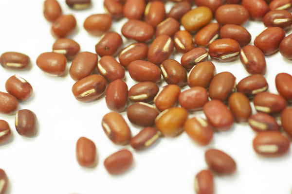 無肥料・自然栽培】少納言 小豆500g【v500】 | 乾物・調味料 | ハート.netshop 無肥料・自然栽培】少納言 小豆500g【v500】 | 乾物・調味料 | ハート.netshop