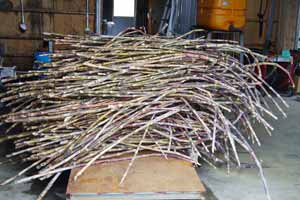 ��·���ʤޤޤΥ��ȥ�����