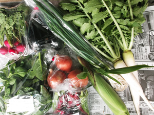 2012年10月14日の元ちゃんの無農薬野菜セット