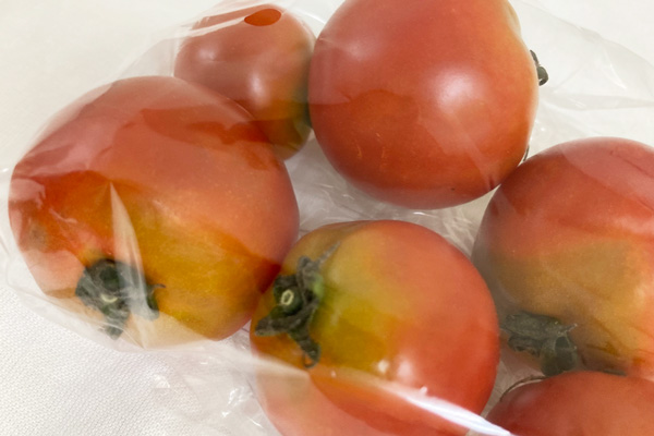 無肥料・自然栽培中玉トマト