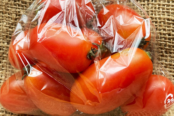 無肥料・自然栽培ハイツ野菜研究部のミニトマト（アイコ）