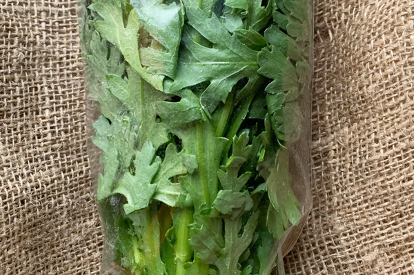 無肥料 自然栽培 菊菜 春菊 京都府 ハイツ野菜研究部 V400 野菜 ハート Netshop 無肥料 自然栽培 菊菜 春菊 京都府 ハイツ野菜研究部 V400 野菜 ハート Netshop
