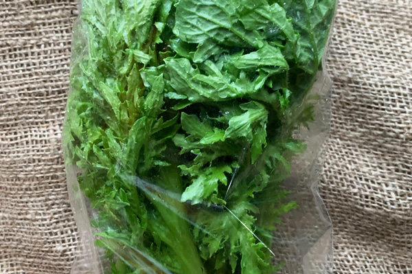 無肥料 自然栽培 わさび菜 京都府 中嶋大輔 V400 野菜 ハート Netshop