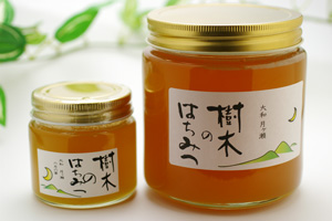 はちまつ養蜂農場樹木のはちみつ