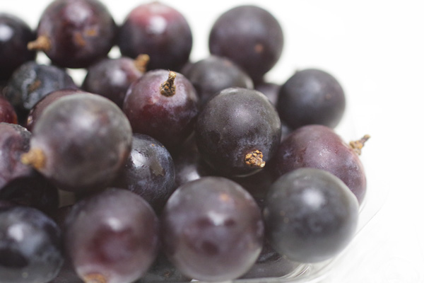 ̵�������������ݤΤ����������Υ٥꡼A