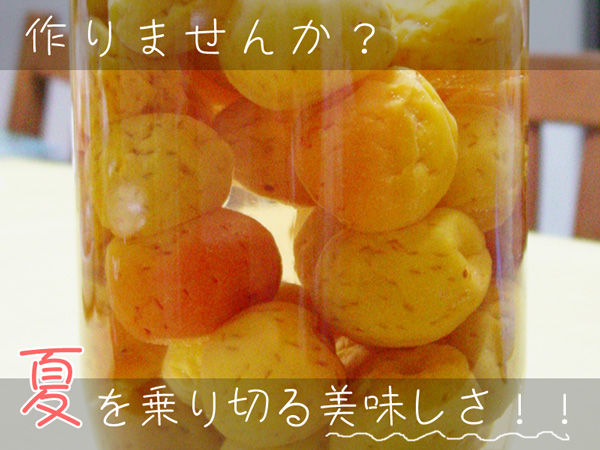 作ろう梅シロップ!!