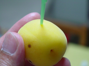爪楊枝などで梅に数カ所穴を開けます。