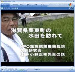 無施肥無農薬栽培の水田を訪れて
