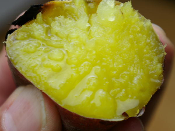 ̪��������14��