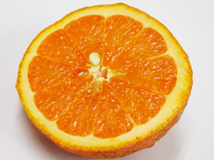 ̵̵ݡ֤󤫤ڤ