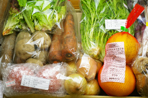 2月4日の無施肥無農薬栽培と自然栽培の定期宅配Mセット/玉ねぎ、ジャガイモ(男爵)、ニンジン、ゴボウ、日野菜、伊予柑、トマト、椎茸、水菜、サラダセット