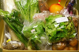 2月7日の無施肥無農薬栽培と自然栽培の定期宅配Lセット/三浦大根、玉ねぎ、ニンジン、スナップエンドウ、海老芋、小かぶ、日野菜、水菜、椎茸、伊予柑、トマト、壬生菜、サラダセット、青梗菜