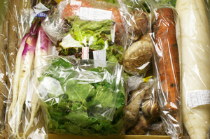 2月7日の無施肥無農薬栽培と自然栽培の定期宅配Mセット/三浦大根、ニンジン、海老芋、ゴボウ、日野菜、トマト、椎茸、サニーレタス、三重なばな、紅菜苔