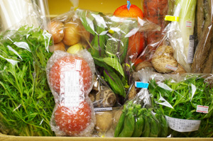 2月11日の無施肥無農薬栽培と自然栽培の定期宅配Lセット/玉ねぎ、三浦大根、ニンジン、ジャガイモ(出島)、スナップエンドウ、海老芋、大根、ゴボウ、紅バエ、トマト、椎茸、水菜、サラダセット、紅菜苔