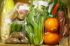 2月11日の無施肥無農薬栽培と自然栽培の定期宅配Mセット/大根、里芋、ニンジン、スナップエンドウ、伊予柑、トマト、椎茸、小松菜、壬生菜、サラダセット