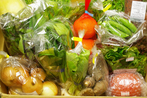 2月14日の無施肥無農薬栽培と自然栽培の定期宅配Lセット/大根、玉ねぎ、ニンジン、小かぶ、海老芋、小松菜、スナップエンドウ、水菜、紅バエ、トマト、サラダセット、壬生菜、水菜、紅菜苔