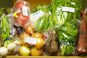 2月14日の無施肥無農薬栽培と自然栽培の定期宅配Mセット/玉ねぎ、里芋、ニンジン、小かぶ、小松菜、スナップエンドウ、トマト、壬生菜、水菜、紅菜苔