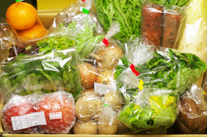 2月18日の無施肥無農薬栽培と自然栽培の定期宅配Lセット/玉ねぎ、サツマイモ、大根、ニンジン、ジャガイモ(出島)、スナップエンドウ、小かぶ、たんかん、水菜、トマト、椎茸、チマサンチュ、壬生菜、サラダセット