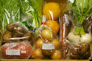 2月18日の無施肥無農薬栽培と自然栽培の定期宅配Mセット/玉ねぎ、里芋、ニンジン、小かぶ、小松菜、伊予柑、水菜、トマト、椎茸、サニーレタス