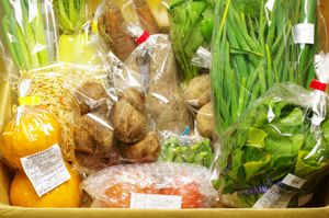 2月21日の無施肥無農薬栽培と自然栽培の定期宅配Lセット/サツマイモ、ニンジン、ジャガイモ(出島)、スナップエンドウ、小松菜、九条ネギ、小かぶ、伊予柑、大根、葉玉ねぎ、ニンニクの葉、トマト、椎茸、切り干し大根