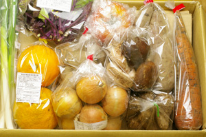 2月21日の無施肥無農薬栽培と自然栽培の定期宅配Mセット/玉ねぎ、ジャガイモ(男爵)、サツマイモ、里芋、ニンジン、九条ネギ、伊予柑、トマト、椎茸、紅苔菜