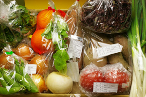 2月25日の無施肥無農薬栽培と自然栽培の定期宅配Mセット/玉ねぎ、サツマイモ、ニンジン、小かぶ、九条ネギ、スナップエンドウ、たんかん、トマト、サニーレタス、イタリアンレタス