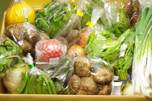 2月28日の無施肥無農薬栽培と自然栽培の定期宅配Lセット/玉ねぎ、サツマイモ、里芋、ニンジン、小かぶ、小松菜、スナップエンドウ、辛味大根、ネギ、トマト、椎茸、八朔、水菜、紅菜苔