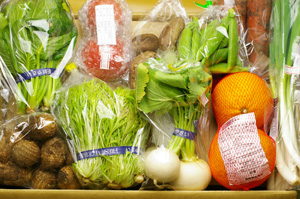 2月28日の無施肥無農薬栽培と自然栽培の定期宅配Mセット/里芋、ニンジン、小かぶ、小松菜、水菜、スナップエンドウ、ネギ、甘夏みかん、トマト、椎茸