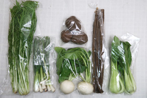 1月21日の無施肥無農薬栽培と自然栽培の定期宅配Sセット/ゴボウ、小カブ、ジャガイモ（さやあかね）、水菜、青梗菜（チンゲン菜）、ニンニクの葉