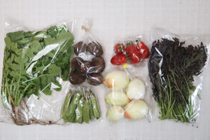6月2日の無施肥無農薬栽培と自然栽培の定期宅配Sセット/ジャガイモ（さやあかね）、新玉ねぎ、大根葉（中抜き葉）、久留米豊、赤からし菜、ミニトマト