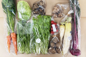 12��5����̵����̵�������ݤȼ������ݤ���ڤ�������ۥ��å�