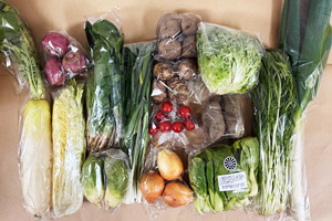 1月6日の無施肥無農薬栽培と自然栽培の定期宅配Lセット/大根、青大根、赤かぶ、玉ねぎ、水菜、里芋、ジャガイモ(男爵)、サツマイモ(シルクスイート)、白菜(カット)、グリーンリーフ、ほうれん草、青梗菜(チンゲン菜)、白ネギ、ニンニクの葉、ミニトマト