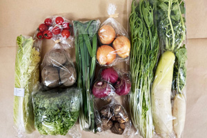 1月6日の無施肥無農薬栽培と自然栽培の定期宅配Mセット/大根、赤かぶ、玉ねぎ、水菜、里芋、ジャガイモ(男爵)、白菜(カット)、グリーンリーフ、ニンニクの葉、ミニトマト