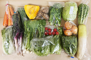 1月9日の無施肥無農薬栽培と自然栽培の定期宅配Lセット/玉ねぎ、大根、日野菜かぶ、小カブの間引き菜、西洋南瓜、里芋、ニンジン、キャベツ(カット)、グリーンリーフ、壬生菜、菊菜、菜の花、ニンニクの葉、ミニトマト、白菜