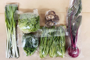 1月9日の無施肥無農薬栽培と自然栽培の定期宅配Sセット/赤小かぶ、里芋、グリーンリーフ、壬生菜、菜の花、ニンニクの葉