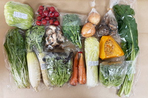 1月13日の無施肥無農薬栽培と自然栽培の定期宅配Lセット/大根、玉ねぎ、ニンジン、西洋南瓜、里芋、白菜(カット)、キャベツ(カット)、グリーンリーフ、サニーレタス、小松菜、水菜、菜の花、椎茸、ミニトマト