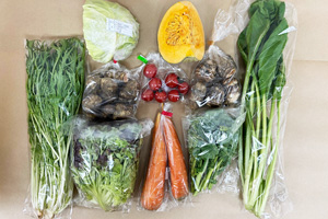 1月13日の無施肥無農薬栽培と自然栽培の定期宅配Mセット/ニンジン、西洋南瓜、里芋、菊芋、キャベツ(カット)、サニーレタス、小松菜、水菜、菜の花、ミニトマト