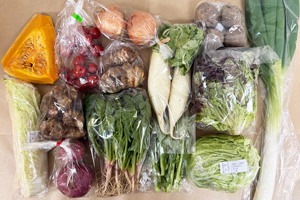 1月20日の無施肥無農薬栽培と自然栽培の定期宅配Lセット/大根、赤かぶ、玉ねぎ、西洋南瓜、里芋、菊芋、ジャガイモ(男爵)、白菜(カット)、キャベツ(カット)、サニーレタス、ほうれん草、菜の花、白ネギ、ミニトマト