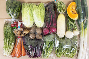 1月23日の無施肥無農薬栽培と自然栽培の定期宅配Lセット/大根、ニンジン、西洋南瓜、ジャガイモ(男爵)、菊芋、小カブ、赤小かぶ、白ネギ、白菜、壬生菜、水菜、紫小松菜、菊菜、菜の花、ミニトマト