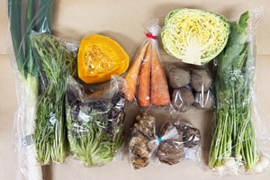 1月23日の無施肥無農薬栽培と自然栽培の定期宅配Mセット/ニンジン、西洋南瓜、ジャガイモ(男爵)、里芋、菊芋、小カブの間引き菜、白ネギ、キャベツ(カット)、サニーレタス、水菜