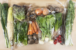 2��3����̵����̵�������ݤȼ������ݤ��������L���å�/���ܥ����纬�������֡��̤ͤ����˥󥸥󡢥��㥬������˼ߡˡ�Τ�򡢵ư򡢥��ˡ��쥿���������ڡ���ڡ��ۤ�����𡢺ڤβ֡��ߥ˥ȥޥ�