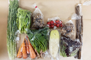 2��3����̵����̵�������ݤȼ������ݤ��������M���å�/���ܥ����纬���˥󥸥�Τ�򡢵ư򡢥��ˡ��쥿������ڡ��ۤ�����𡢺ڤβ֡��ߥ˥ȥޥ�