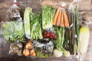 2��6����̵����̵�������ݤȼ������ݤ��������L���å�/�纬�����ܥ����̤ͤ����˥󥸥󡢥��㥬������˼ߡˡ�Τ�򡢵ư򡢾����֡���ڡʥ��åȡˡ����ˡ��쥿������ڡ��ڤβ֡����顼�ɡ��˥�˥����ա��ߥ˥ȥޥ�