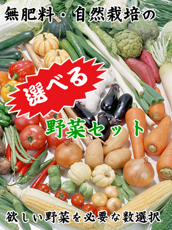 無肥料・自然栽培】旬のお野菜・果物の選べるセットのスポット購入☆欲しいお野菜だけをお送りします　野菜