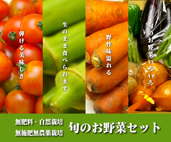 無肥料・自然栽培】旬のお野菜・果物のお任せセットのスポット購入※除外作物登録可　野菜