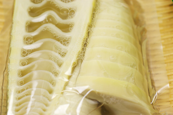 ���������ݤλҿ��