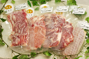 保美豚冷凍生肉5品セット
