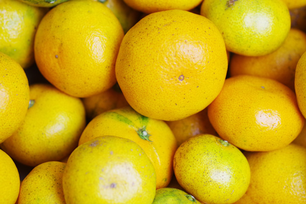 無肥料 自然栽培 極早生ミカン5kg みかんの季節到来を告げるミカンらしい酸味 熊本県 宗自然農園 V5000 果物 ハート Netshop